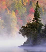 immigrating to canada